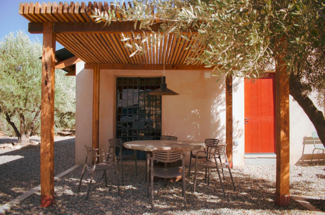 Alma Liebre Vinedos Del Valle Valle de Guadalupe Exteriör bild