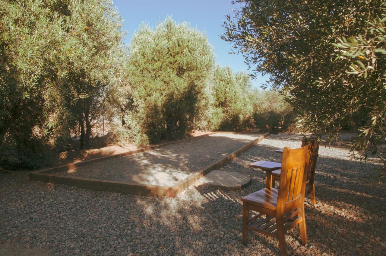 Alma Liebre Vinedos Del Valle Valle de Guadalupe Exteriör bild