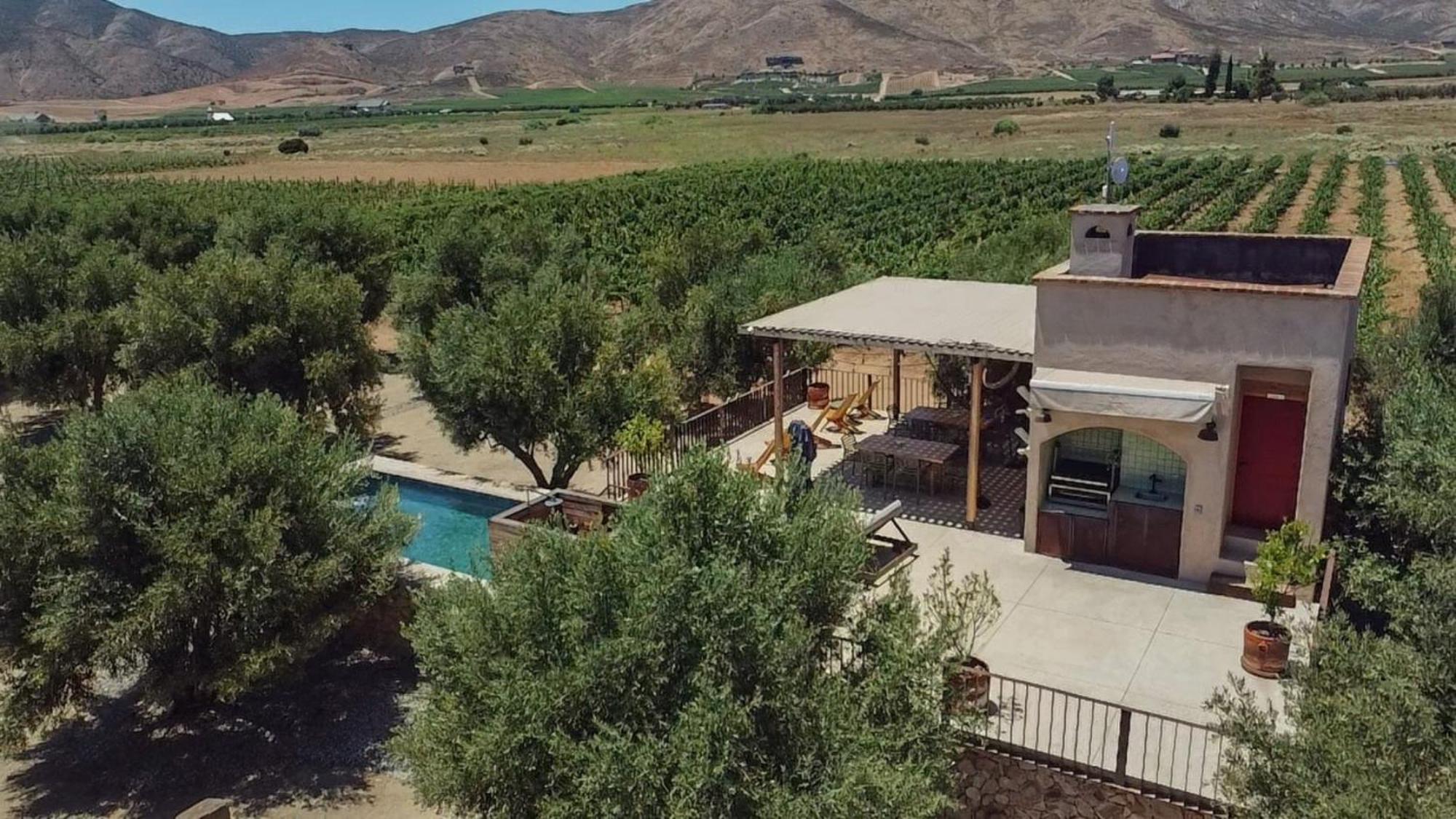Alma Liebre Vinedos Del Valle Valle de Guadalupe Exteriör bild