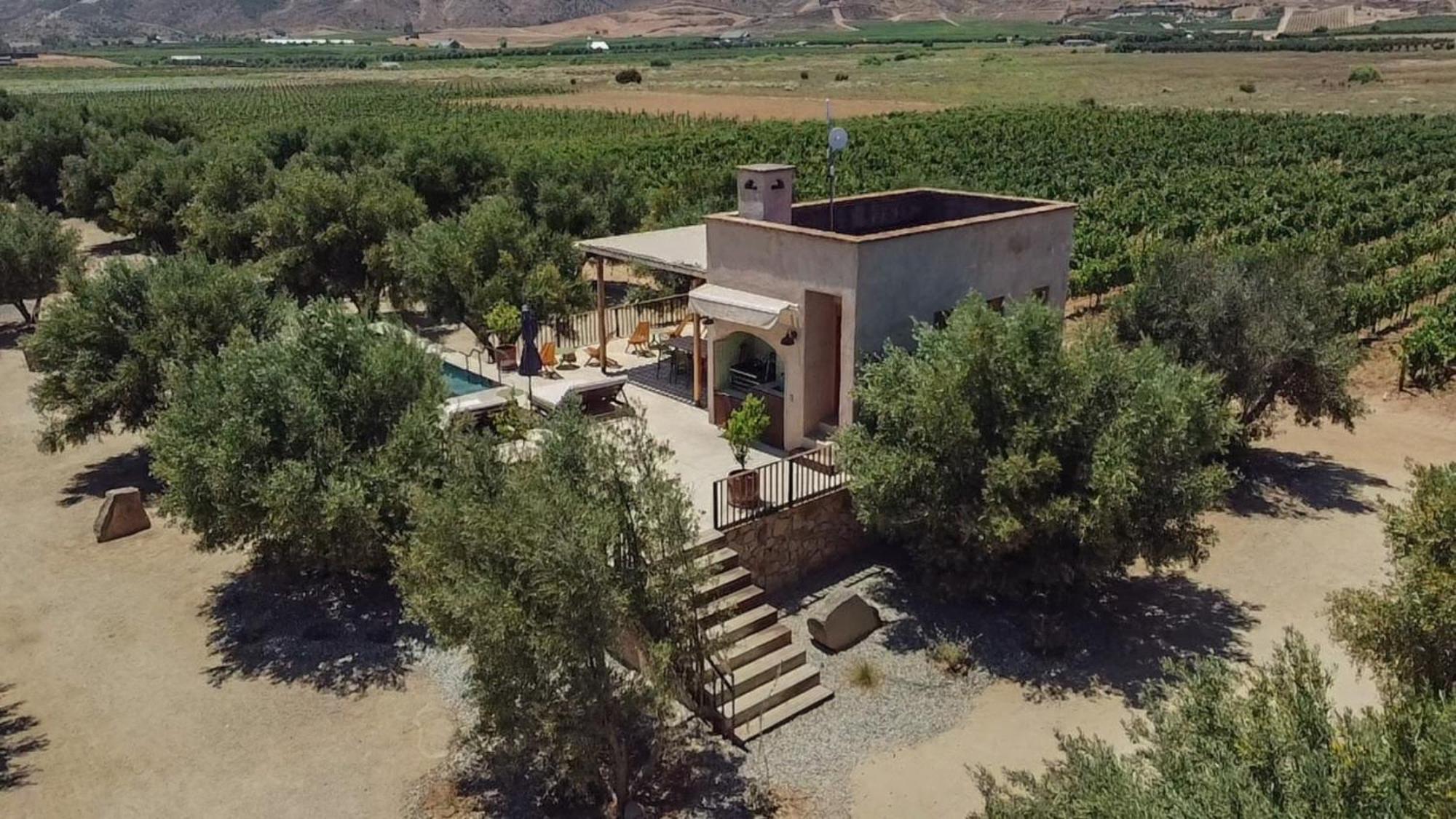 Alma Liebre Vinedos Del Valle Valle de Guadalupe Exteriör bild