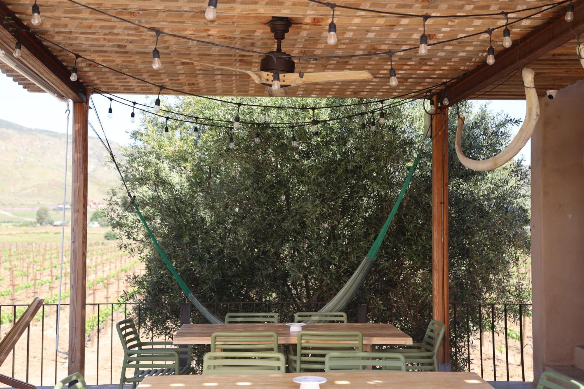 Alma Liebre Vinedos Del Valle Valle de Guadalupe Exteriör bild