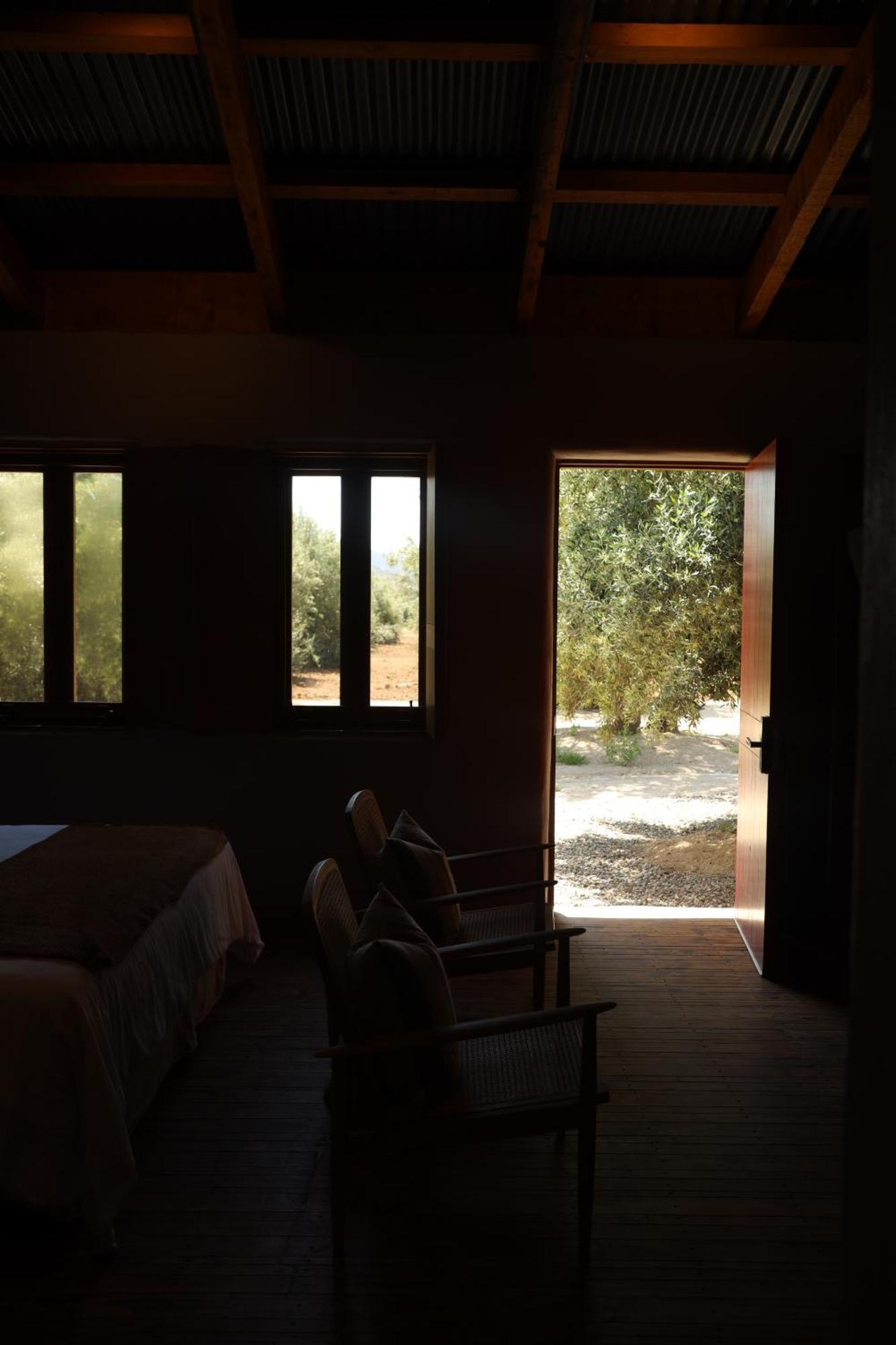 Alma Liebre Vinedos Del Valle Valle de Guadalupe Exteriör bild